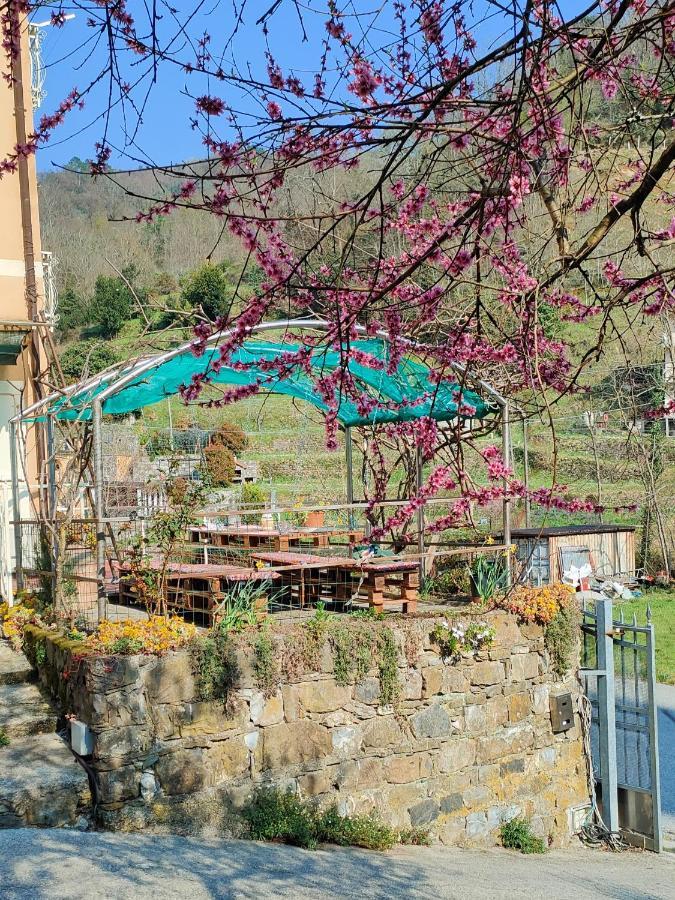 Ca Di Nonni Apartment Chiesanuova  Bagian luar foto